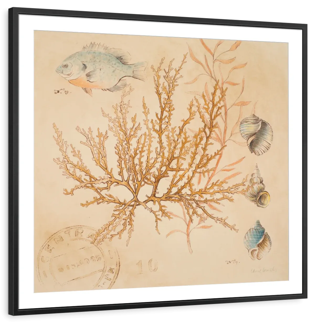 A Coral Medley I Wall Art