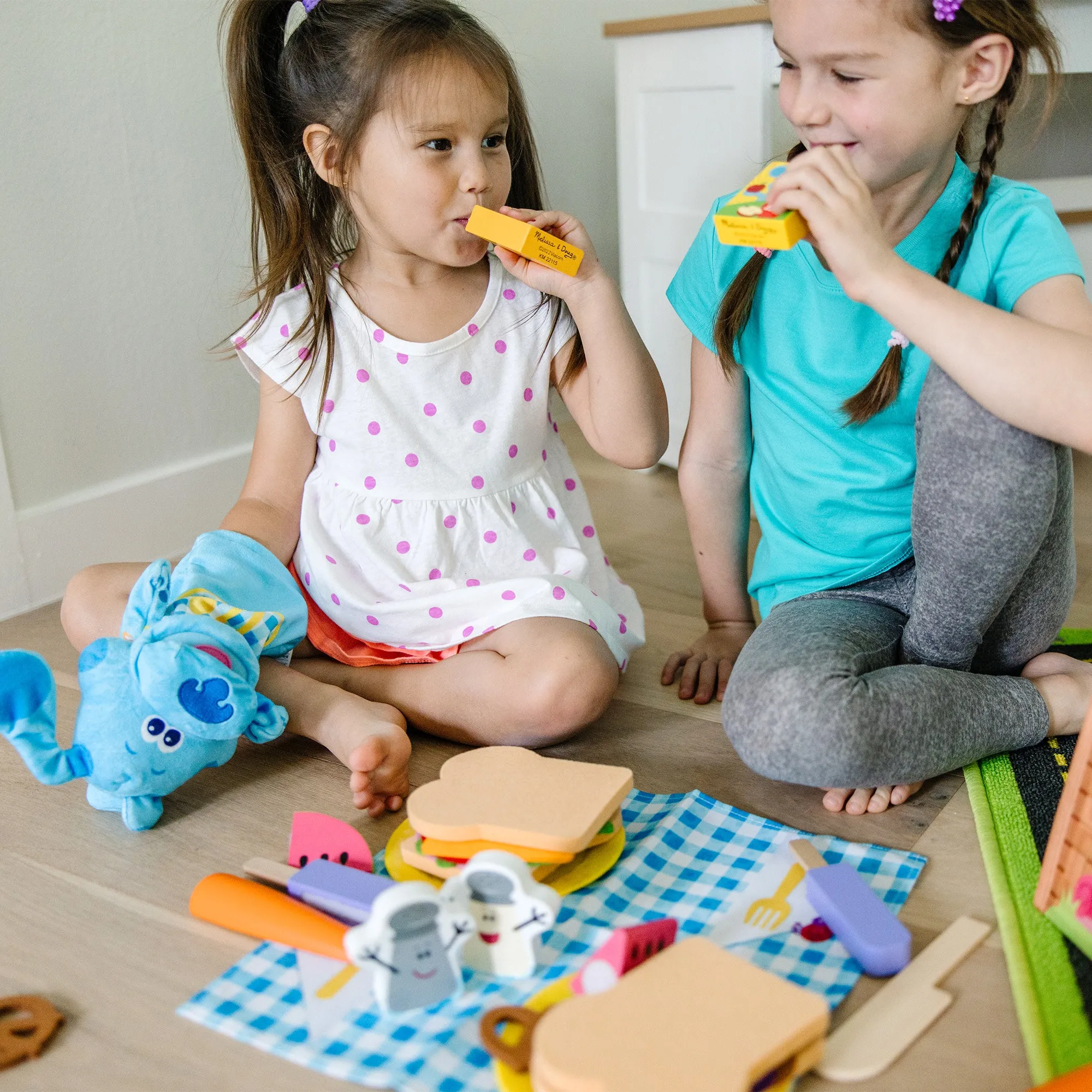 Blue's Clues & You! Share with Blue Picnic Play Set