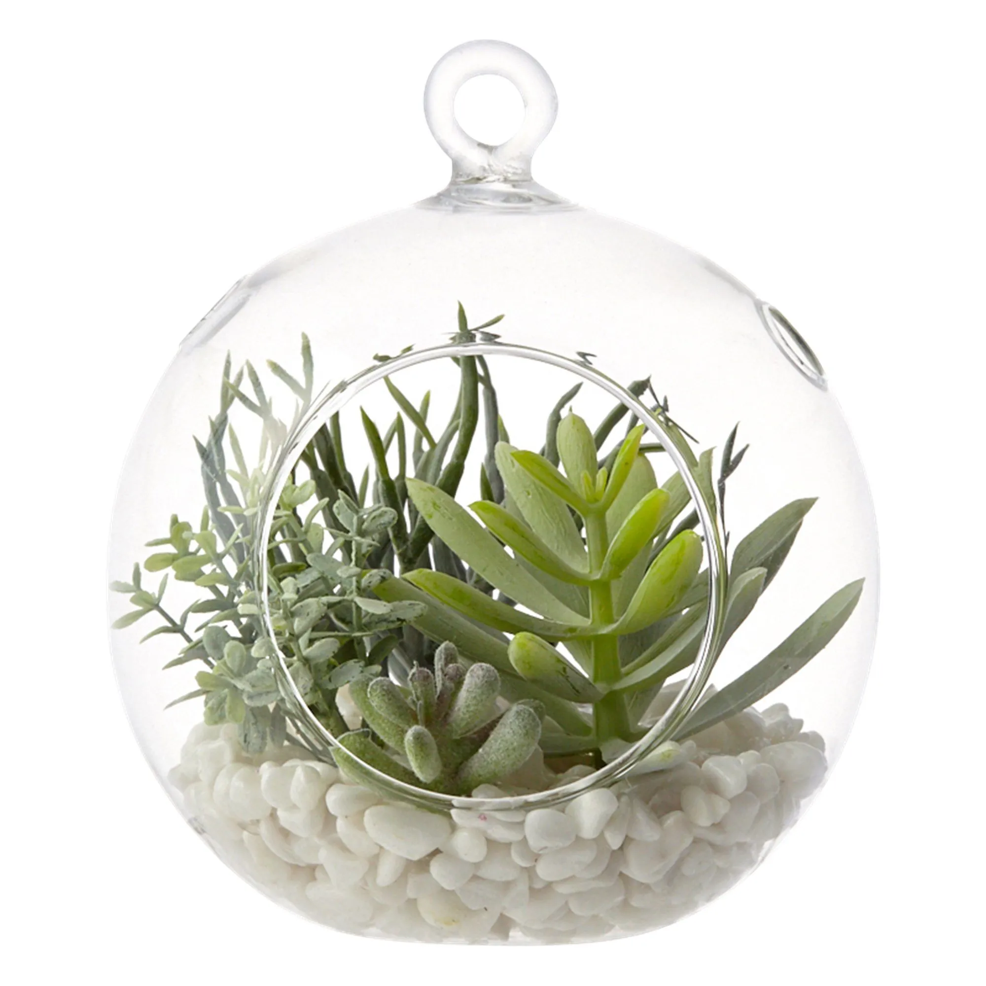 Caro Succulents Pot Round