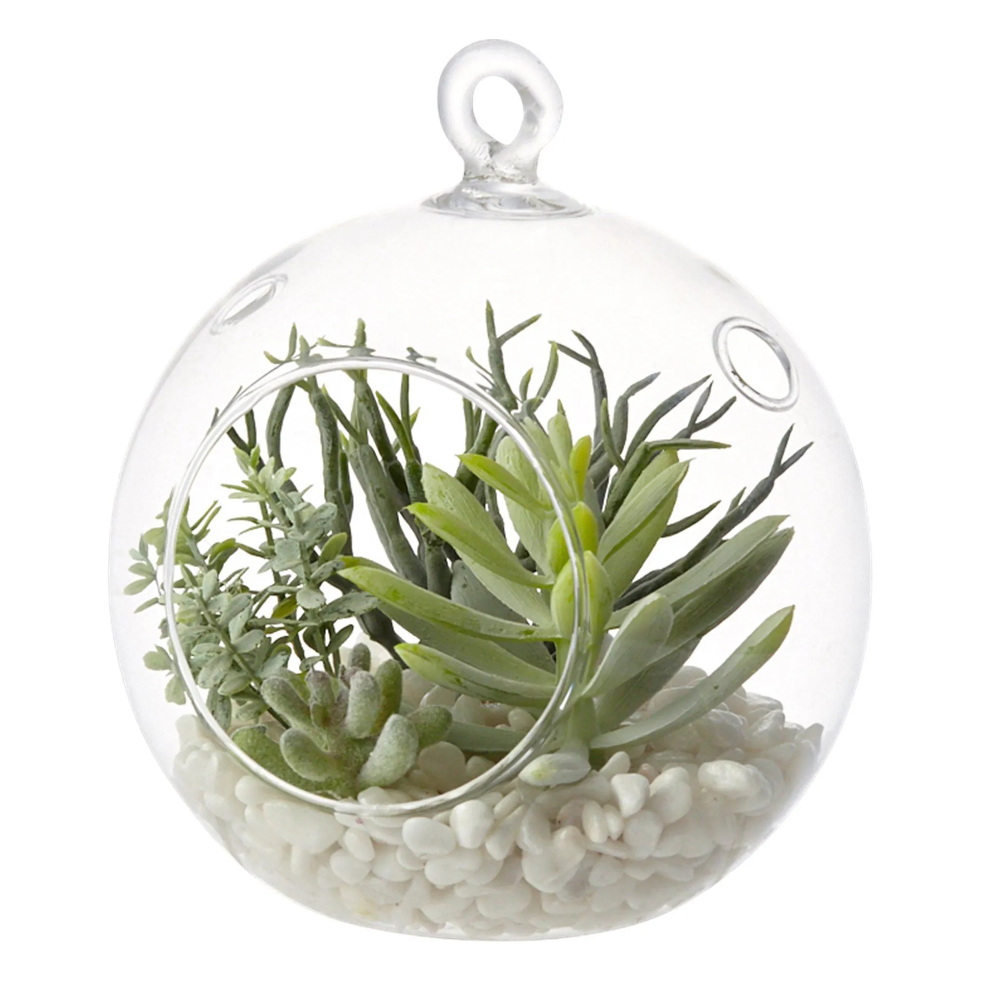 Caro Succulents Pot Round