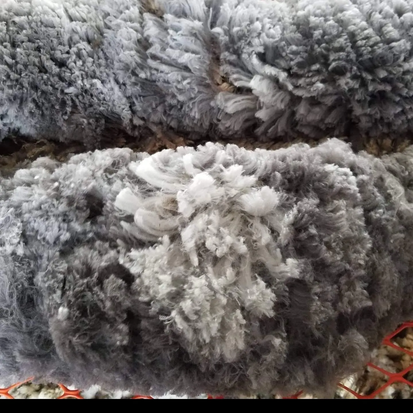 Natural Merino Yarn (NY)