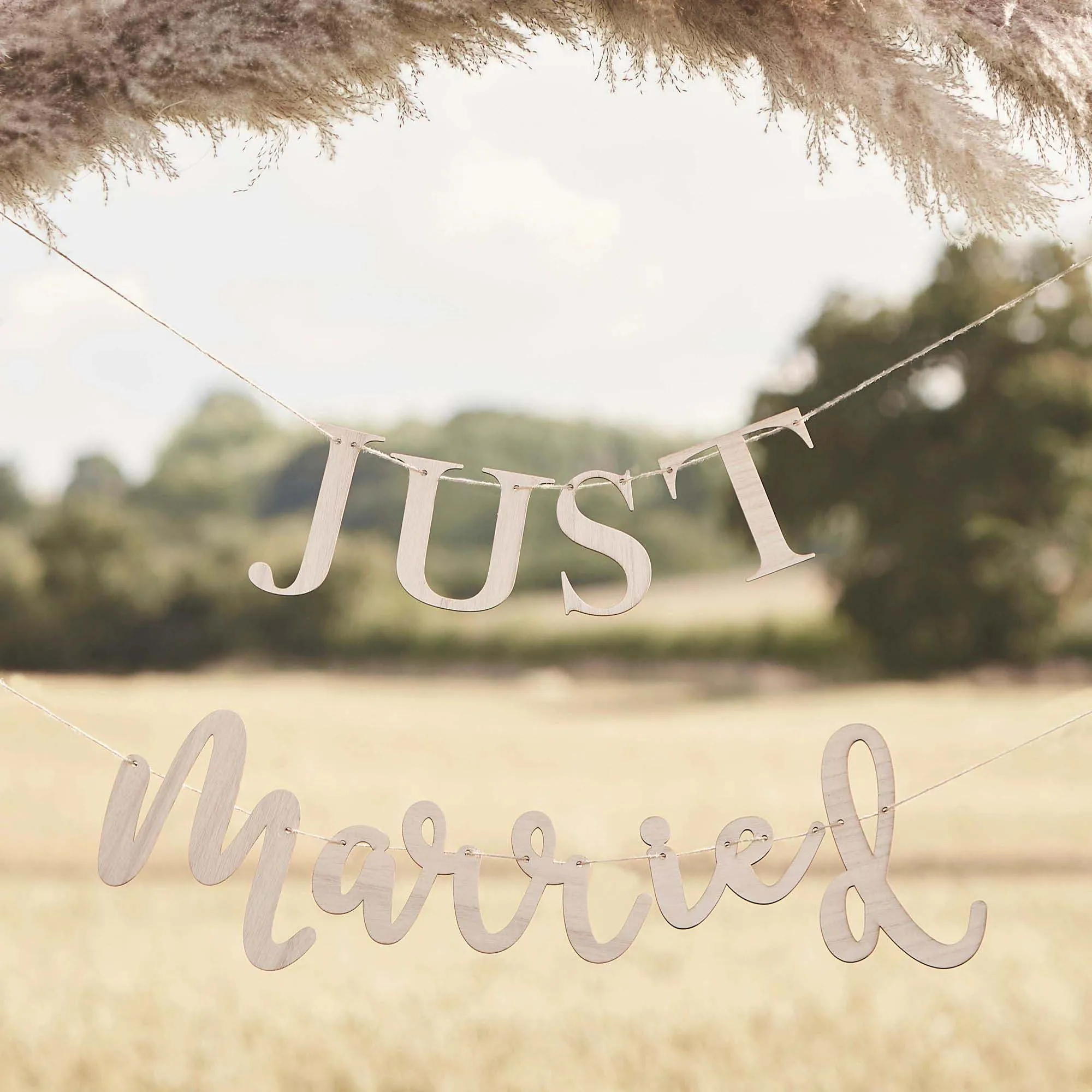 "Just Married" Wooden Banner, 1 Count